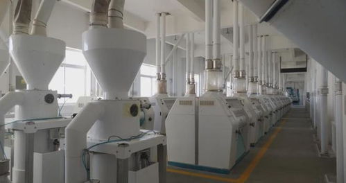 鄉(xiāng)村振興進(jìn)行時(shí) 多措并舉促就業(yè)，精準(zhǔn)服務(wù)暖民心，文藝創(chuàng)作煥活力